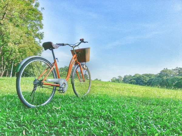 Fiets in park plus effecten — Stockfoto