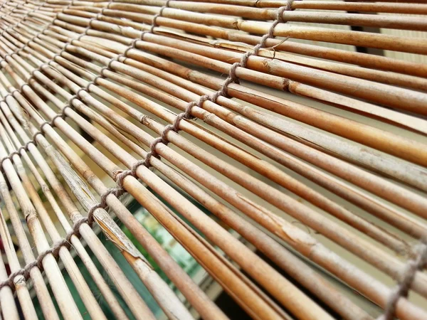 Bambu gardin H. D. R. — Stockfoto