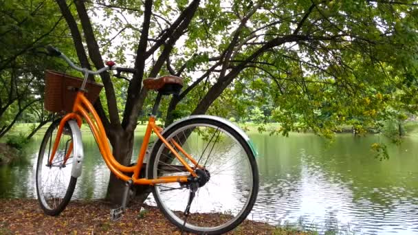 Kamu Bisiklet Parkı — Stok video