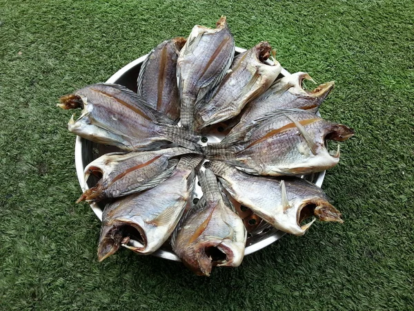 Kurutulmuş balık — Stok fotoğraf
