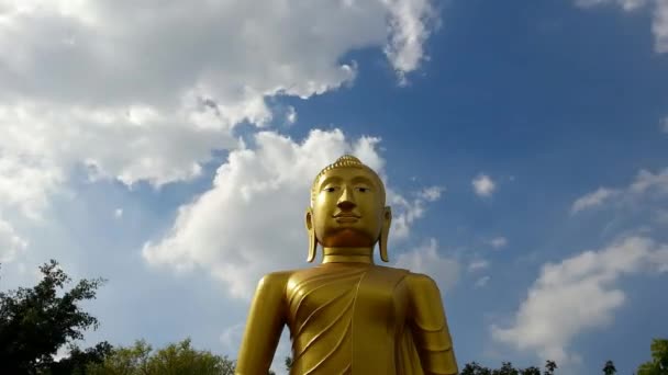Статуя Будды — стоковое видео