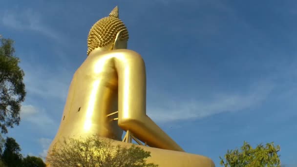 Estatua de Buddha — Vídeo de stock