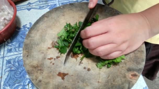 Torta de cilantro — Vídeo de stock