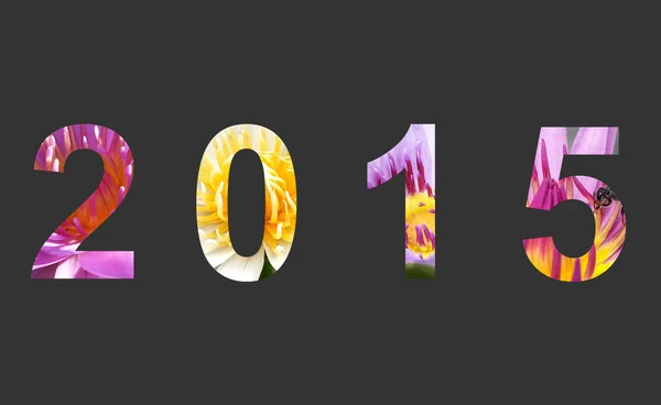 2015 год Цветок лотоса — стоковое фото