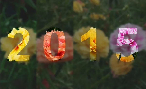 Год 2015 Красивый цветок — стоковое фото