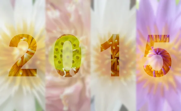 Kwiat lotosu w roku 2015 — Zdjęcie stockowe