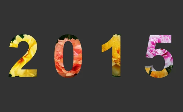 Rok 2015 piękny kwiat — Zdjęcie stockowe