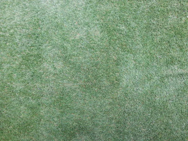 Artificial grass floor texture — Stock Photo, Image