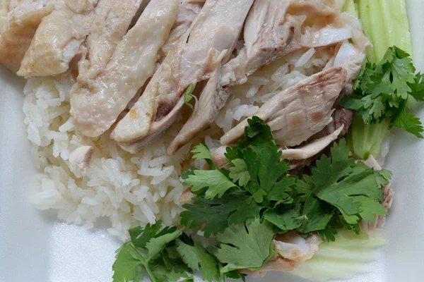 Ayam kukus dengan nasi — Stok Foto