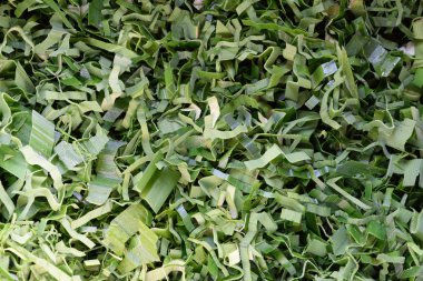 Doku bölünmüş pandanus yaprak