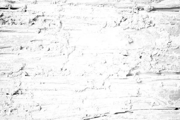 Rozpadu struktura drewna miękkiego tonu kolor biały — Zdjęcie stockowe