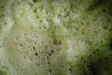 Pandanus yaprak su doku