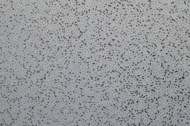 Tavan kontrplak doku