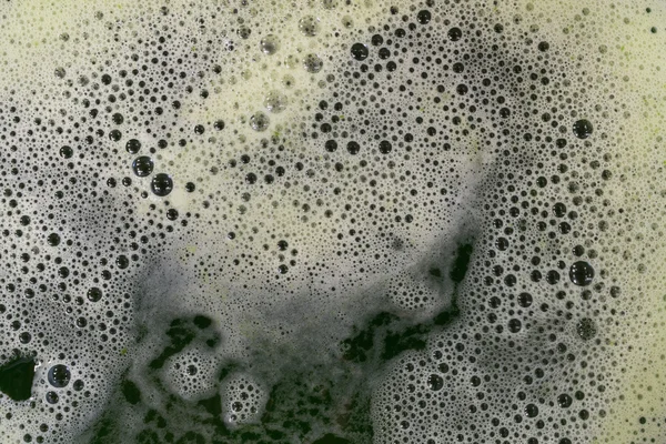 Textura de agua de hoja de pandano —  Fotos de Stock