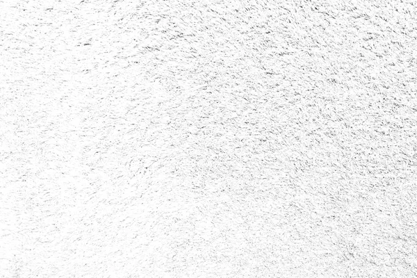 Текстура трави Білий колір — стокове фото