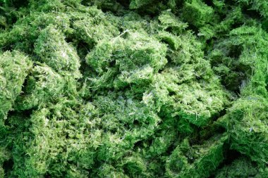 Doku bölünmüş pandanus yaprak