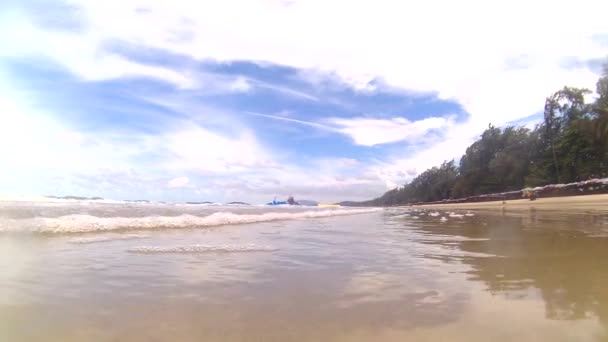 Ola en la playa — Vídeo de stock