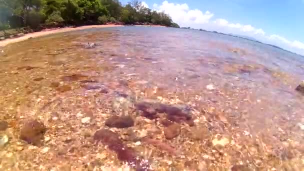 Хвиля на скелястому пляжі — стокове відео