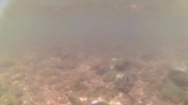 Sualtı dalga rock beach üzerinde