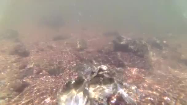 Underwater wave on rock beach — Stock Video