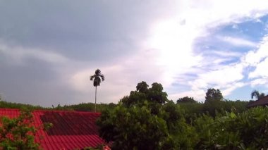 Sonra yağmur anda kauçuk plantation, Timelapse