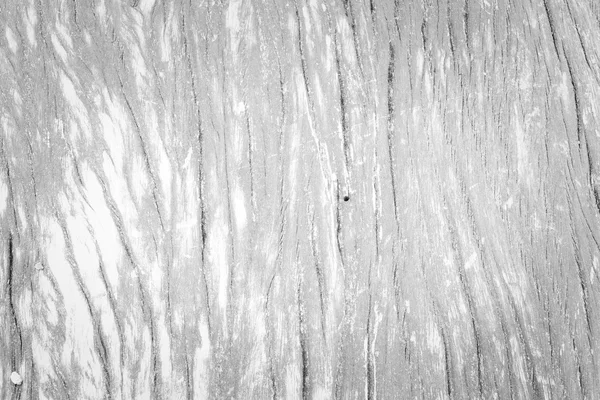 Holz Textur weiße Farbe — Stockfoto