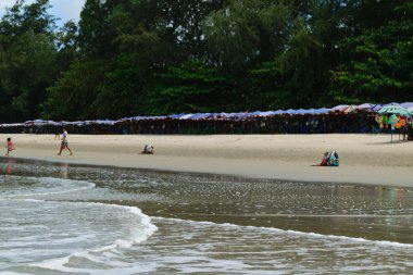 plaj ve tropikal deniz