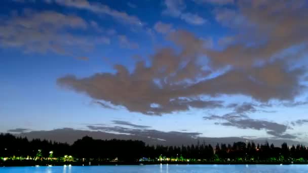 Noche en el parque 4k — Vídeos de Stock