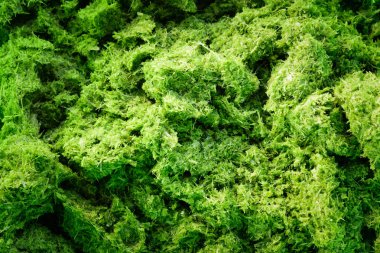 Doku bölünmüş pandanus yaprak