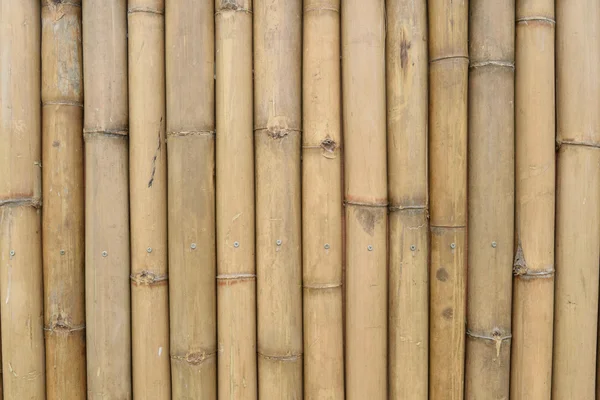 Textura de parede de bambu — Fotografia de Stock