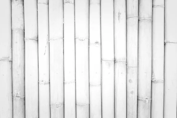Bamboo wall texture — Stock Photo, Image