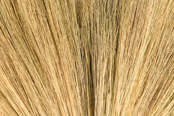 Broom texture — Stock Photo, Image