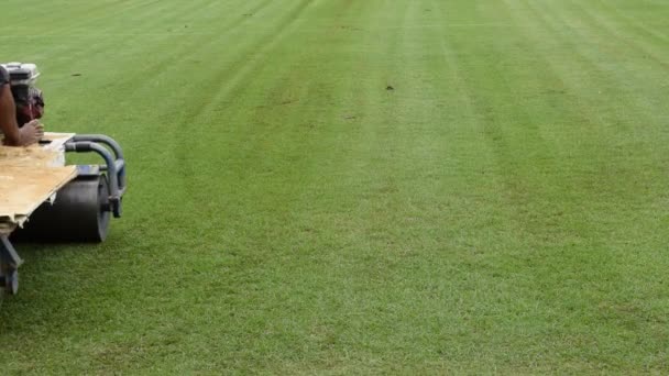 Rasensanierung in einem Fußballstadion — Stockvideo