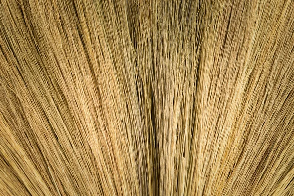 Broom texture — Stock Photo, Image