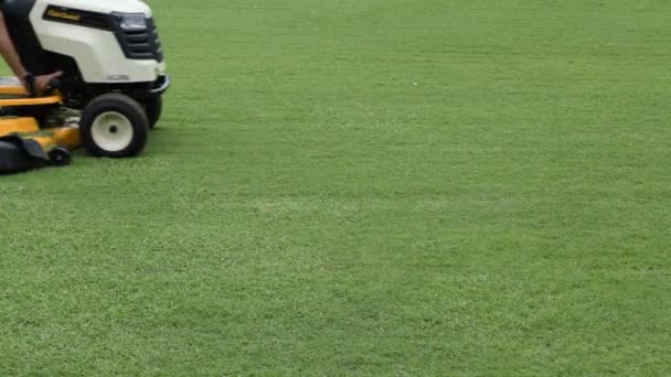 Mowing grass in a football stadium — Stock Video