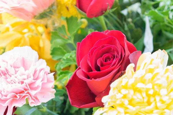 Schöne Rosenblume in einem Strauß — Stockfoto