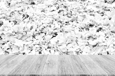 Ahşap Teras ve bitki doku