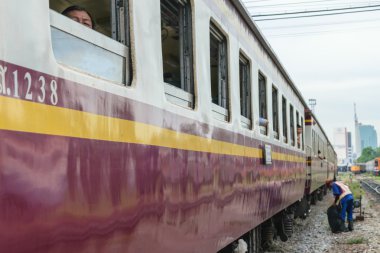 Tay trendeki insanlar