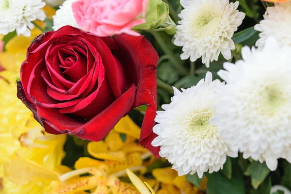 Schöne Rosenblume in einem Strauß — Stockfoto