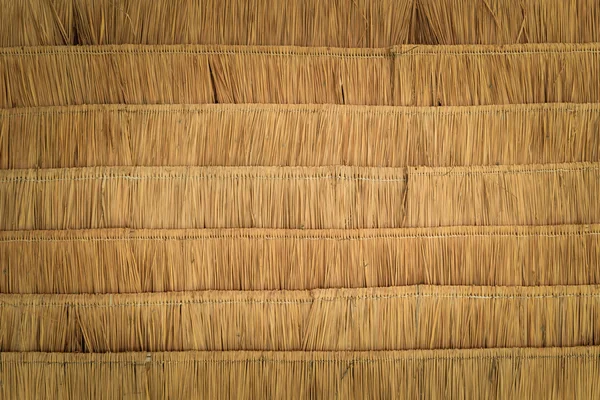 Tessitura della parete delle foglie secche — Foto Stock