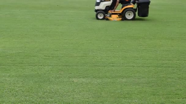 Mowing grass in a football stadium — Stock Video