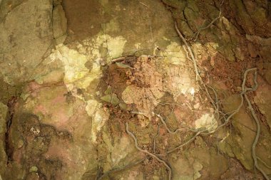 Ahşap doku yüzeyi ile Dünya Haritası