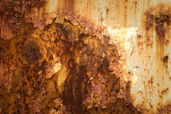 Metal pas duvar doku yüzeyi ile Dünya Haritası