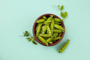 Yeşil arka planda seramik bir kasedeki taze bezelye kabukları ve fotokopi alanı. Yukarıdan görünüşü.