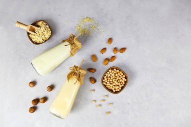Alternatif vegan süt türleri: pirinç, yulaf, nohut, fındık ve badem. Sütsüz vejetaryen laktoz. Kopyalama alanı olan üst görünüm. 