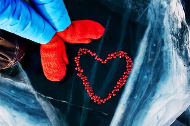 Kalp, Baykal Gölü 'nün buzunun üzerindeki yabanmersininden yapılmıştır. Kırmızı eldivenli bir kızın elleri. Sevgililer Günü için güzel bir kış geçmişi.