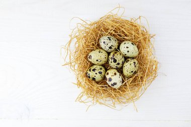 Beyaz ahşap arka planda saman yuvasında doğal bıldırcın yumurtaları. Paskalya bayramı. Boşluğu kopyala. 