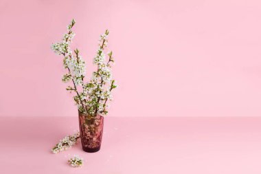 Pembe arka planda çiçek açan erik dallarından bir buket. Boşluğu kopyala.