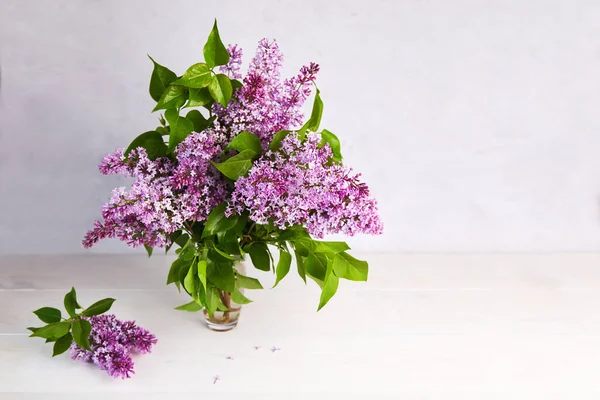 A bouquet of lilacs in a vase on a gray background. Spring background. Lilac flowers.