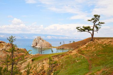 Şamanka Kayası ve Olkhon adasında eski bir karaçam ağacı. Baykal Gölü 'nün güzel yaz manzarası.